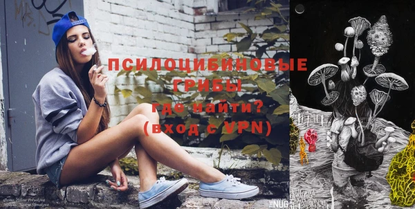 ПСИЛОЦИБИНОВЫЕ ГРИБЫ Баксан